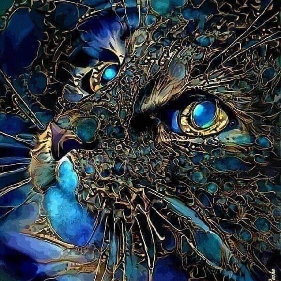 Meet your Posher, Cindy - Picture 6 of 6